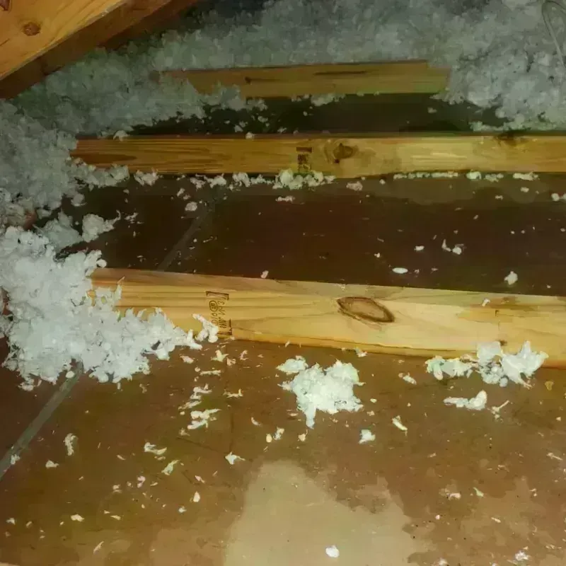 Attic Water Damage in Baidland, PA